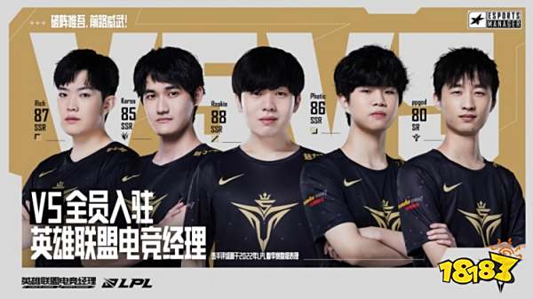 费为亮点 费为亮点