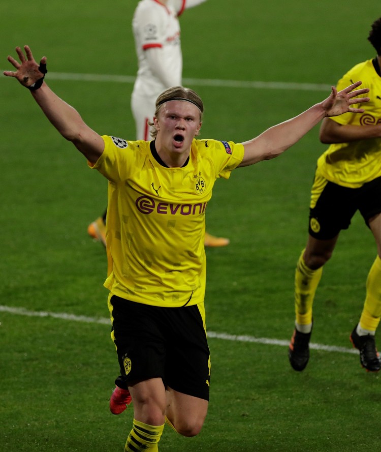 将有望把 将有望把